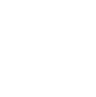 Home 10 telephone